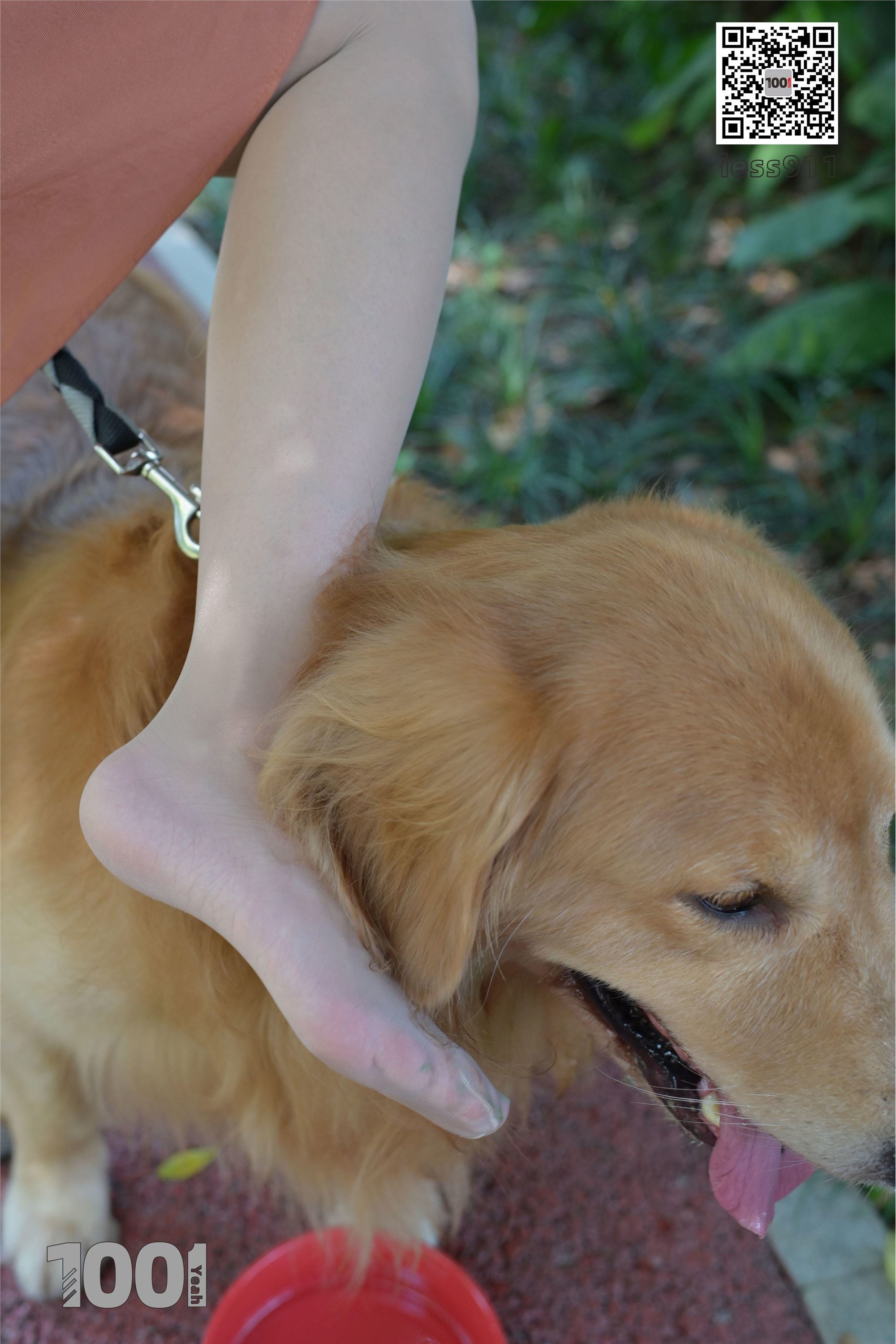 IESS异思趣向 一千零一夜 模特：真真《家有萌宠1》